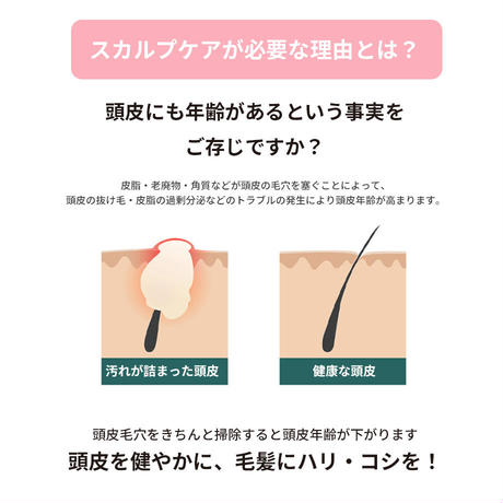 【日本限定】スカルプリフレッシングセット